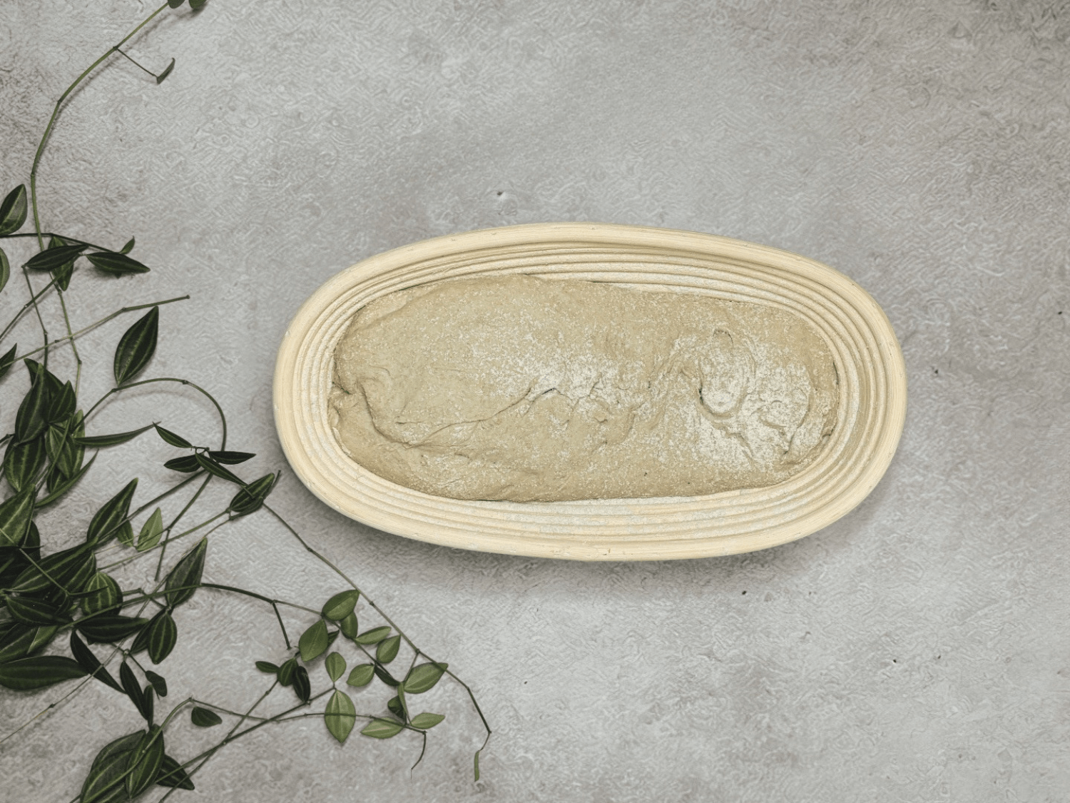 buy-your-game-garkorbchen-lang-aus-peddigrohr-fur-brote-bis-1000g-discount_1.png